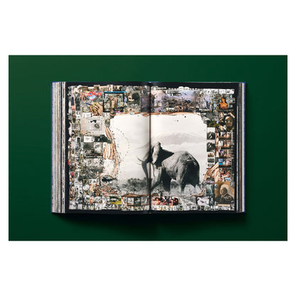 Peter Beard (German, French, English)