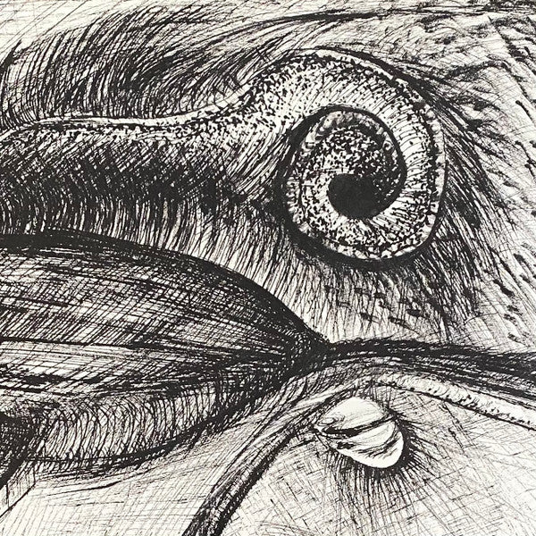 Songs And Instrumentals | Mint (M) Mint (M)