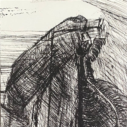 Songs And Instrumentals | Mint (M) Mint (M)