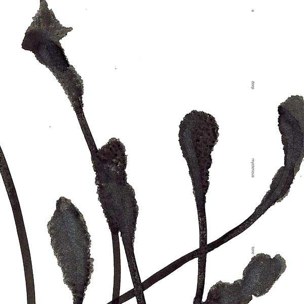 A Deep Mysterious Tone |