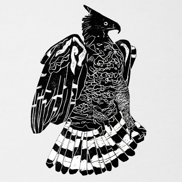 ALPHA STEPPA & NAI-JAH - Crowned Eagle [2LP] |