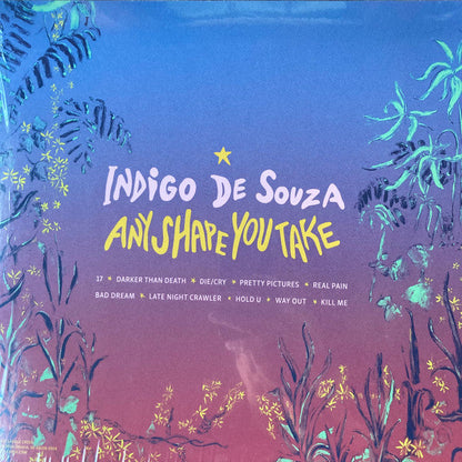 Indigo De Souza - Any Shape You Take (Ltd Yellow Vinyl) | Mint (M) Mint (M)