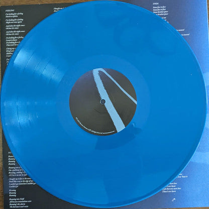 Devendra Banhart - Flying Wig (Ltd Blue Vinyl) | Mint (M) Mint (M)
