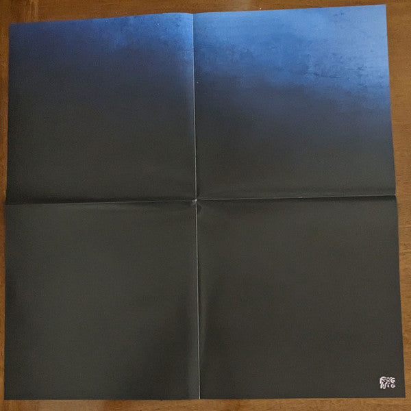Devendra Banhart - Flying Wig (Ltd Blue Vinyl) | Mint (M) Mint (M)