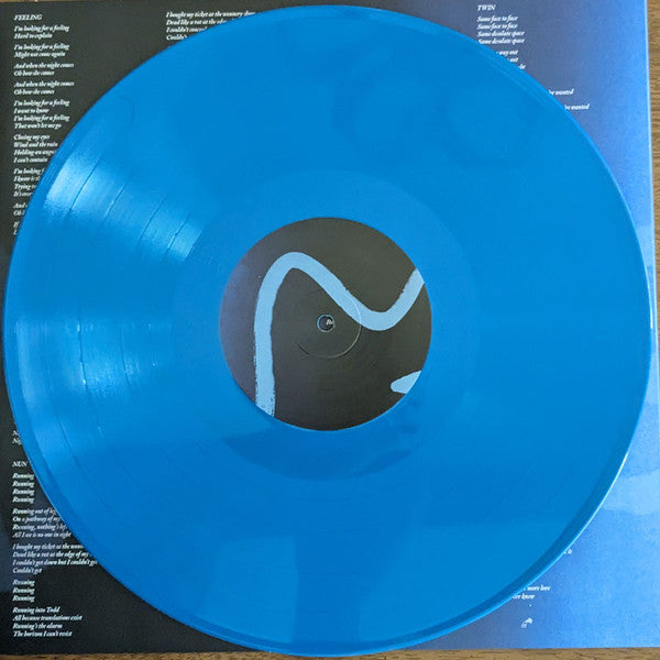 Devendra Banhart - Flying Wig (Ltd Blue Vinyl) | Mint (M) Mint (M)