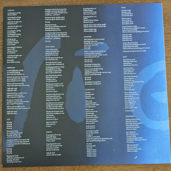 Devendra Banhart - Flying Wig (Ltd Blue Vinyl) | Mint (M) Mint (M)