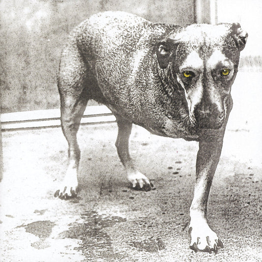 Alice In Chains - Alice In Chains (30th Anniversary Reissue)(2x Color Vinyl) | Mint (M) Mint (M)