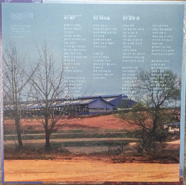 Mid-Air Thief 공중도둑 - Crumbling (VINYL) |