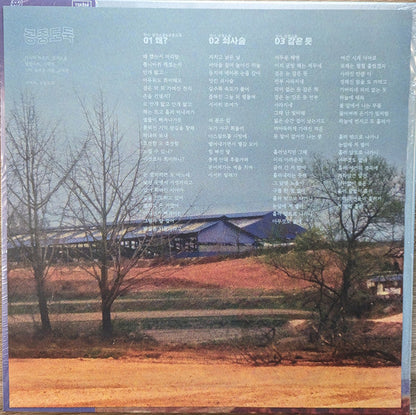 Mid-Air Thief 공중도둑 - Crumbling (VINYL) |