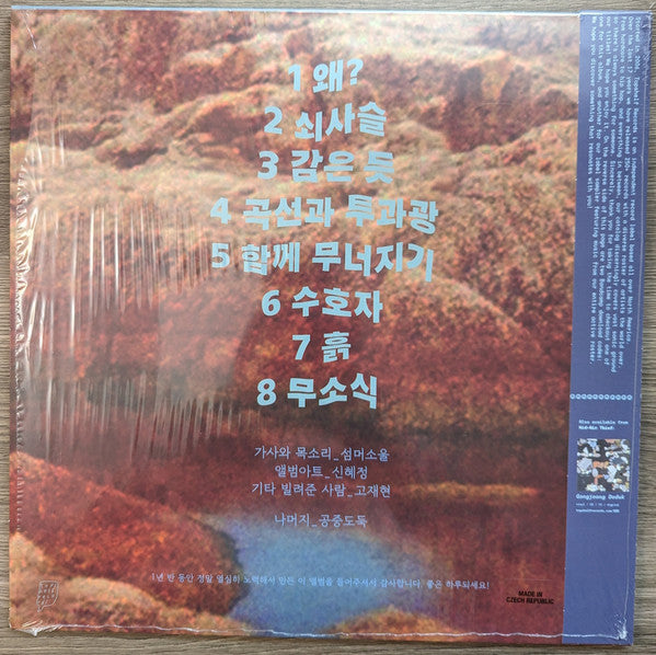 Mid-Air Thief 공중도둑 - Crumbling (VINYL) |