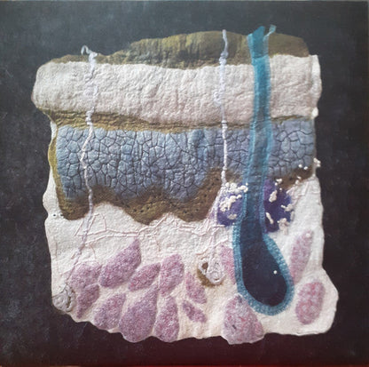 Soft Tissue (PETROL ECO VINYL) | Mint (M) Mint (M)