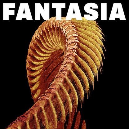 Slift - Fantasia (YELLOW 2xVINYL) | Mint (M) Mint (M)