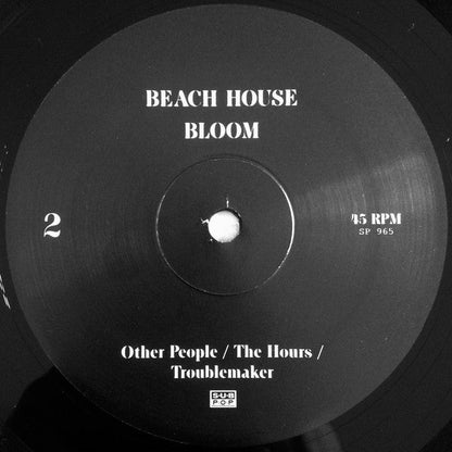 Bloom (VINYL)(2023) | Mint (M) Mint (M)