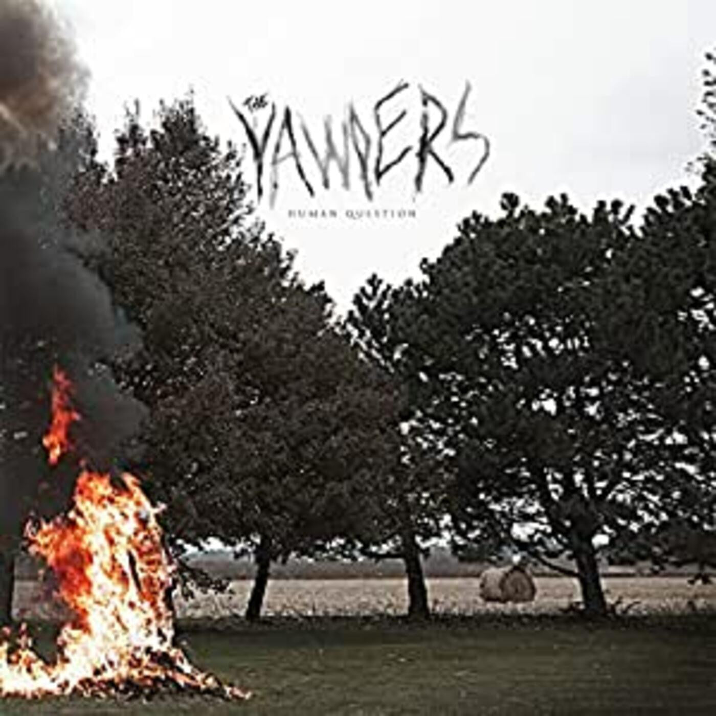 Yawpers - Human Question (VINYL) | Mint (M) Mint (M)