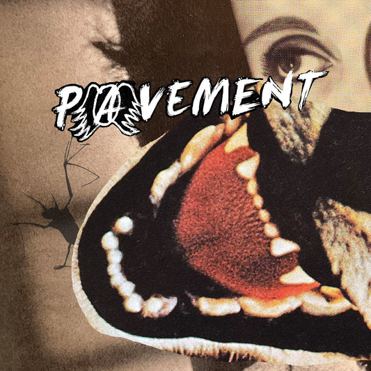 Pavement - Hecklers Choice: Big Gums and Heavy Lifters - A Pavement Collection (VINYL) | Mint (M) Mint (M)