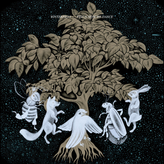 Winterpills - This Is How We Dance (VINYL) | Mint (M) Mint (M)