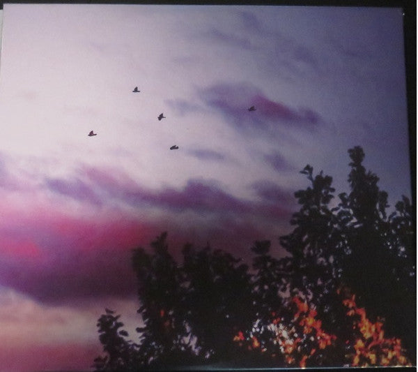 Moon Mirror *CD* | Mint (M) Mint (M)