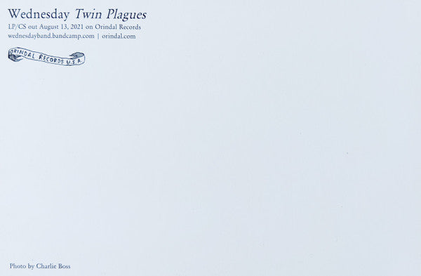 Twin Plagues (VINYL) | Mint (M) Mint (M)