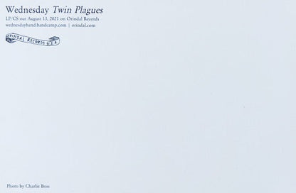 Twin Plagues (VINYL) | Mint (M) Mint (M)