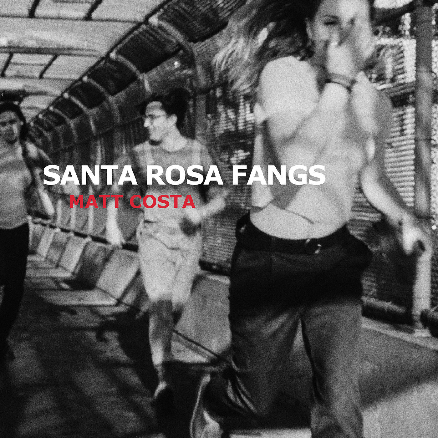 Costa, Matt - Santa Rosa Fangs |