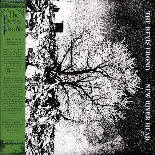 (PRE-ORDER 12/5/25) New River Head (VINYL) | Mint (M) Mint (M)