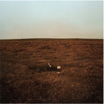 Fink - (PRESALE 6/5/26) The City Is Coming to Erase It All (BOOKLET VINYL) | Mint (M) Mint (M)