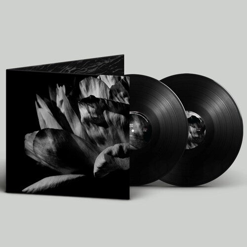 Louise Roam - La Ou Passe La Nuit (2xVINYL) | Mint (M) Mint (M)