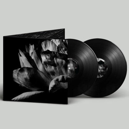 Louise Roam - La Ou Passe La Nuit (2xVINYL) | Mint (M) Mint (M)