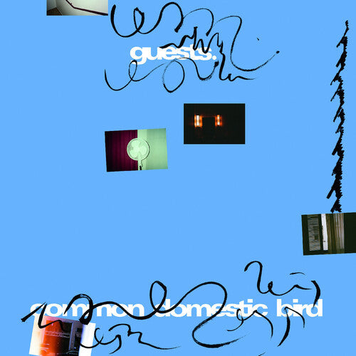 Guests - Common Domestic Bird (VINYL) | Mint (M) Mint (M)