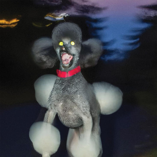 Hit Bargain - A DOG A DEER A SEAL |