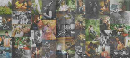 Big Thief - Dragon New Warm Mountain I Believe In You (CD) |