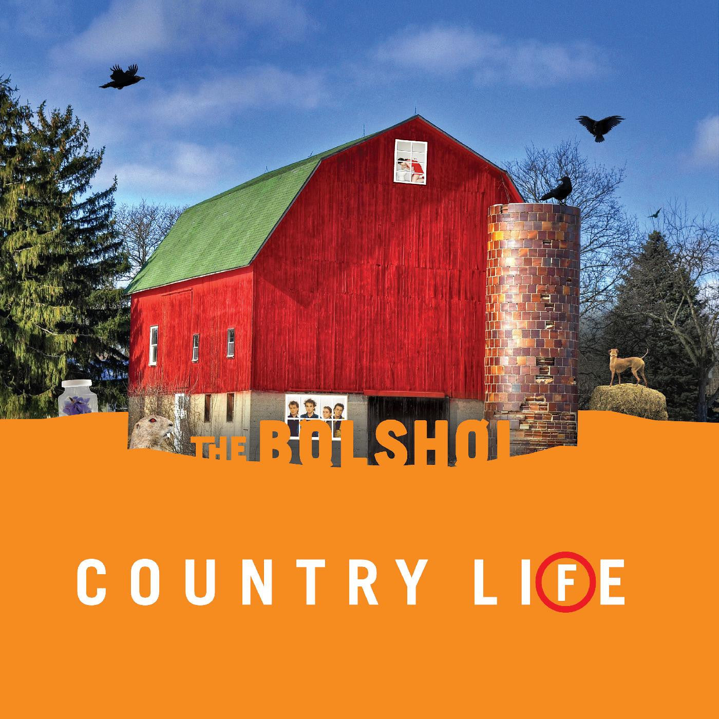 Bolshoi, The - Country Life (GREEN & ORANGE VINYL) |