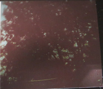 Moon Mirror *CD* | Mint (M) Mint (M)