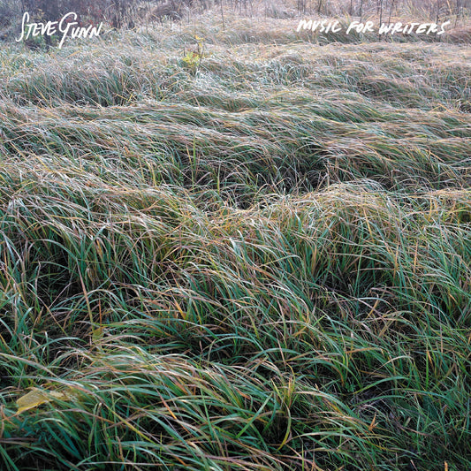 Gunn, Steve - Music For Writers |