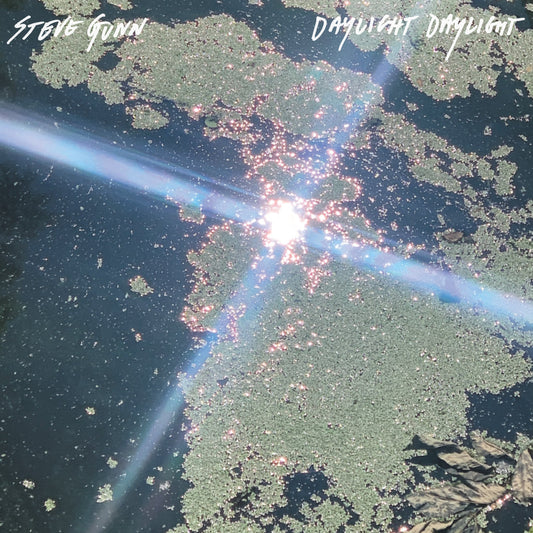 Steve Gunn - Daylight Daylight (VINYL) | Mint (M) Mint (M)