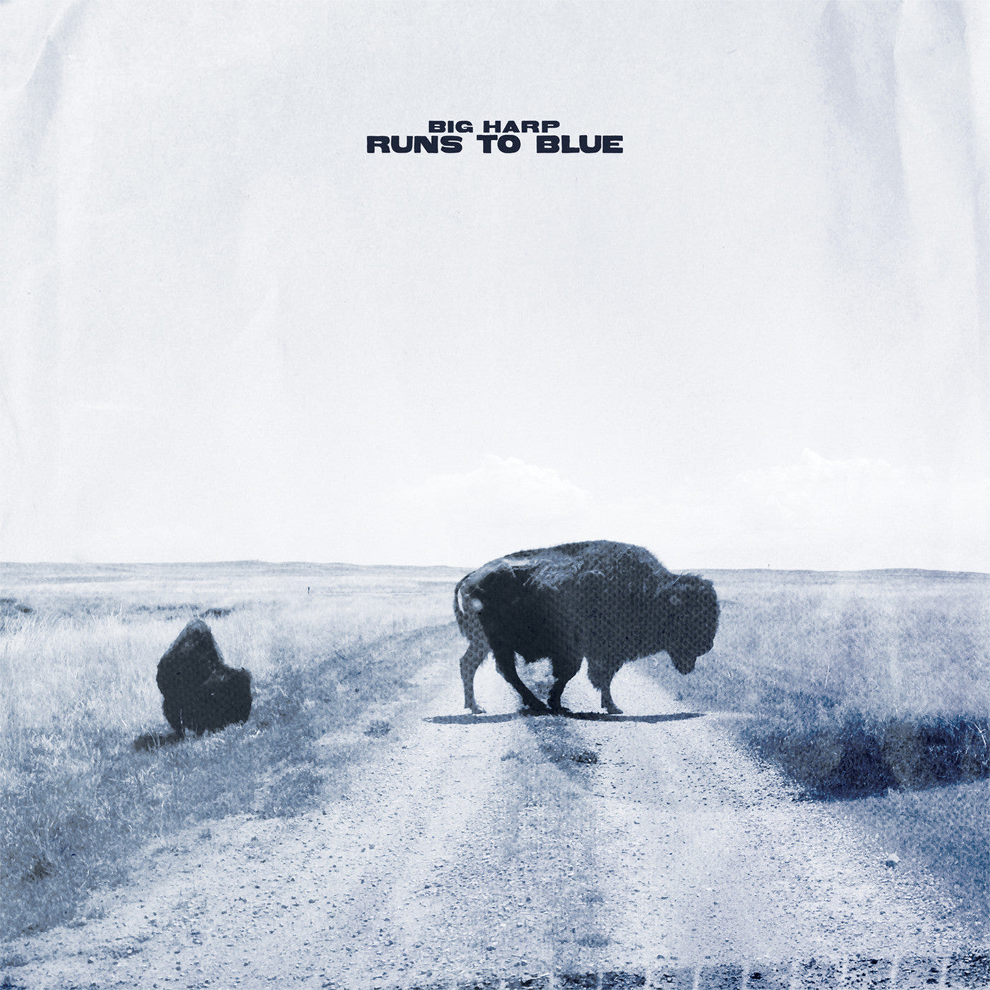 Big Harp - Runs to Blue (BLUE VINYL) | Mint (M) Mint (M)