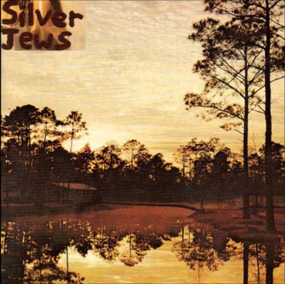 Silver Jews - Starlite Walker (VINYL) | Mint (M) Mint (M)