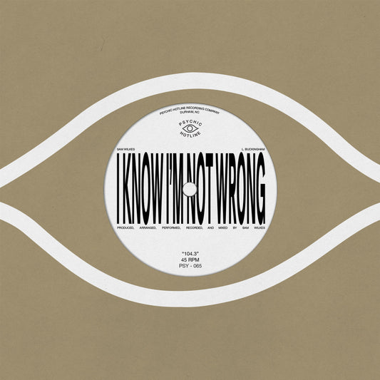 Sam Wilkes - 104.3 (VINYL 7") | Mint (M) Mint (M)