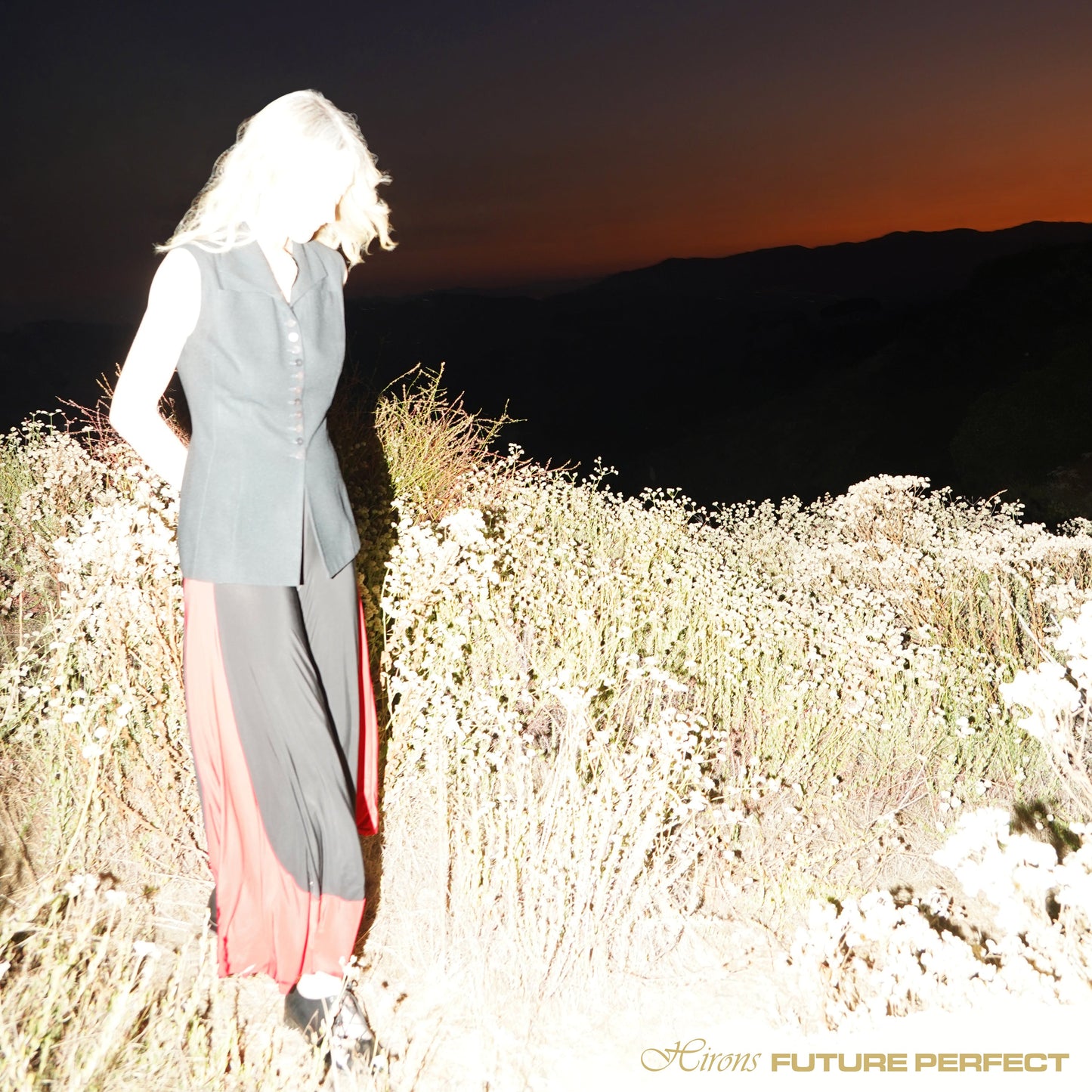 Future Perfect (VINYL) | Mint (M) Mint (M)