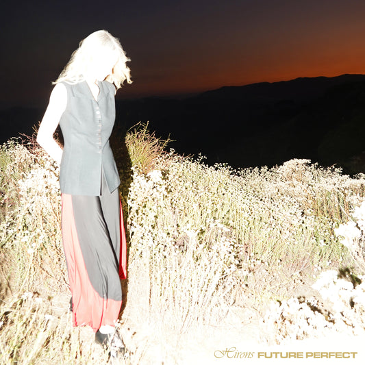 Hirons - Future Perfect (VINYL) | Mint (M) Mint (M)