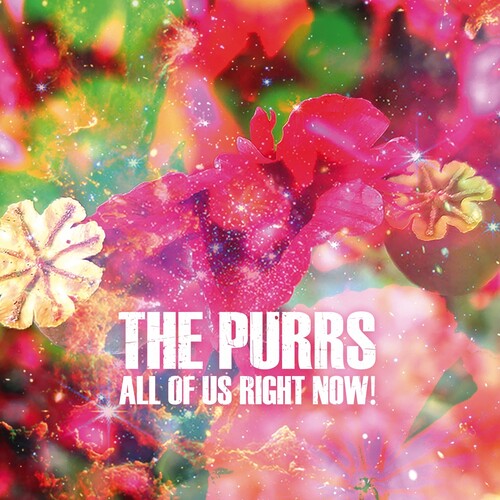The Purrs - (PRESALE 5/22/26) All of Us Right Now! (VINYL) | Mint (M) Mint (M)