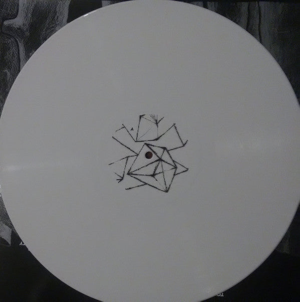 Tomorrow's Modern Boxes | Mint (M) Mint (M)