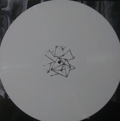 Tomorrow's Modern Boxes | Mint (M) Mint (M)