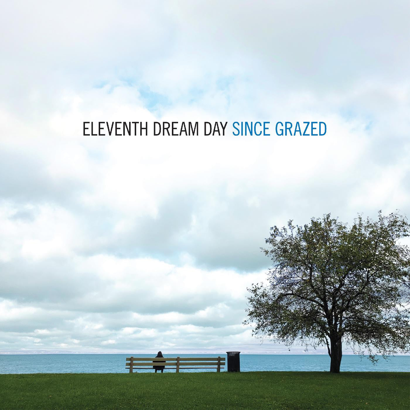 Eleventh Dream Day - Since Grazed |