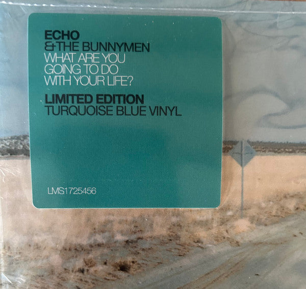 Echo & The Bunnymen - What Are You Going To Do With Your Life? (TURQUOISE VINYL) | Mint (M) Mint (M)