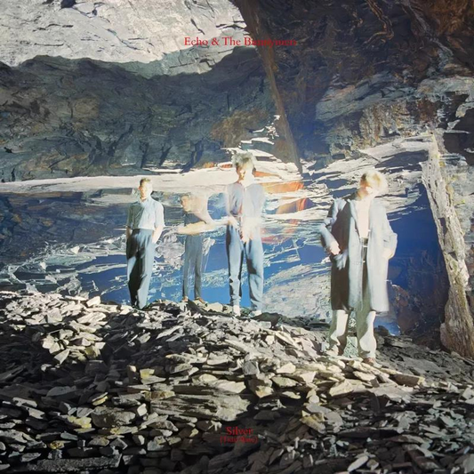 Silver: 40th Anniversary (RSD BLACK FRIDAY) | Mint (M) Mint (M)