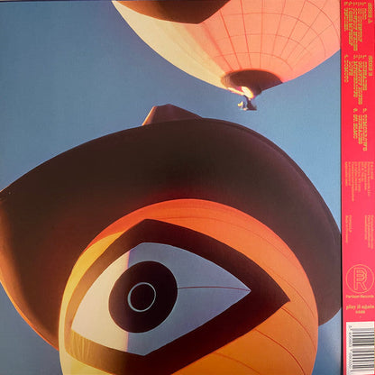 Geese (11) - 3D Country (VINYL) |