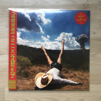 Geese (11) - 3D Country (VINYL) |