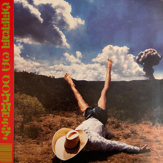 Geese (11) - 3D Country (VINYL) |