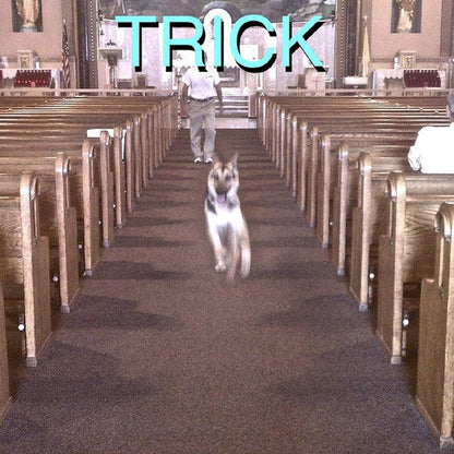 Trick (CD) | Mint (M) Mint (M)
